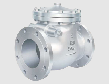 Swing Check Valve